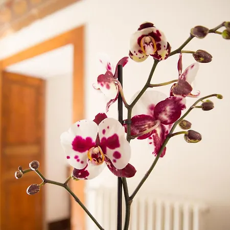 Il Gattopardo Bed & Breakfast