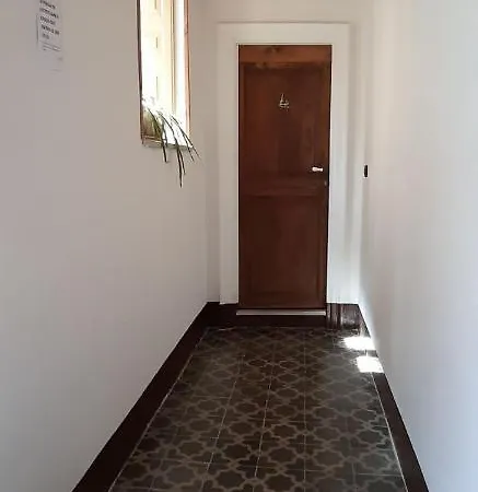 Il Gattopardo